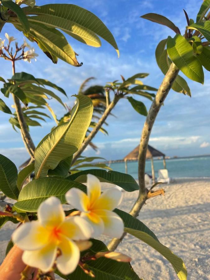 Wind Breeze Sunset View Inn Guraidhoo  Exterior foto